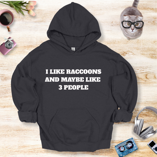 I Like Raccoons And Maybe Like 3 People Hoodie